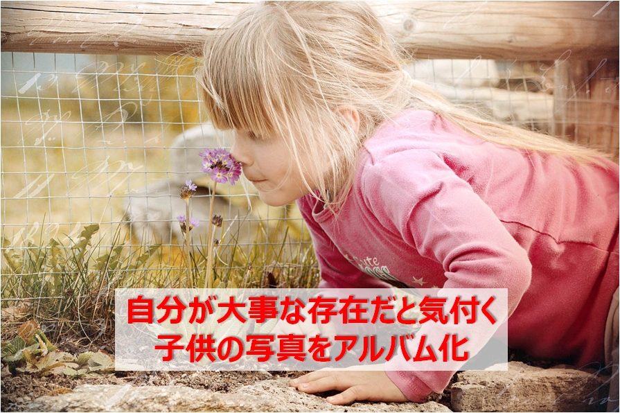 子供の写真をアルバム化して子供に持たせよう 子供の感性活性化 大事な存在だと気付かせろ 快晴ブログ