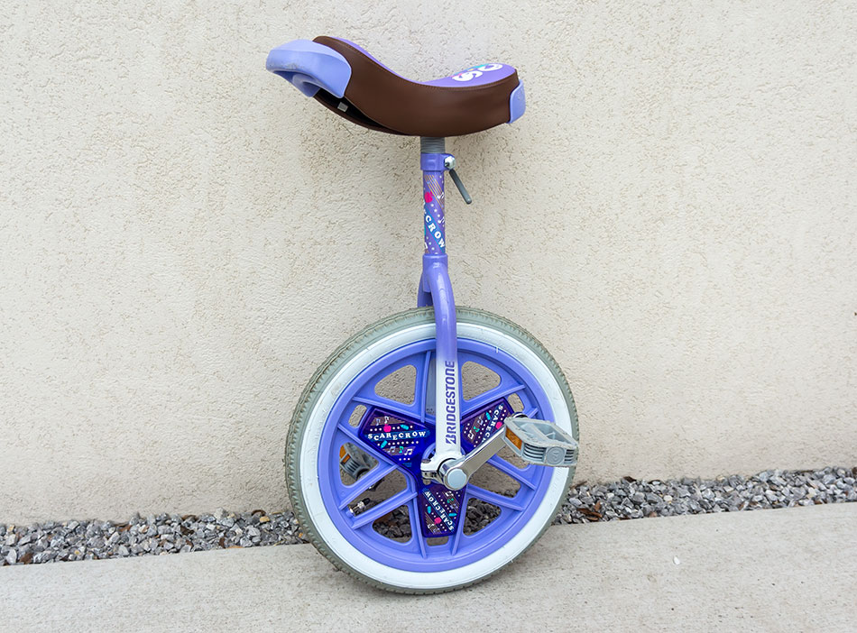 小学生に人気の一輪車 子供の成長に役立つ プレゼントにいかが 快晴ブログ