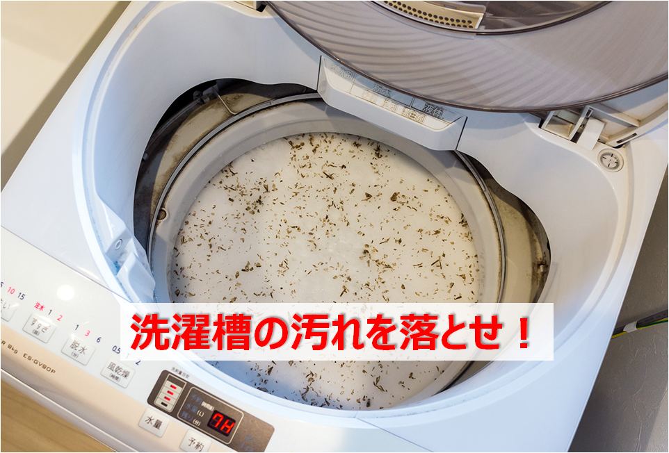387円 登場大人気アイテム 洗濯槽排水パイプクリーナー300gX3袋